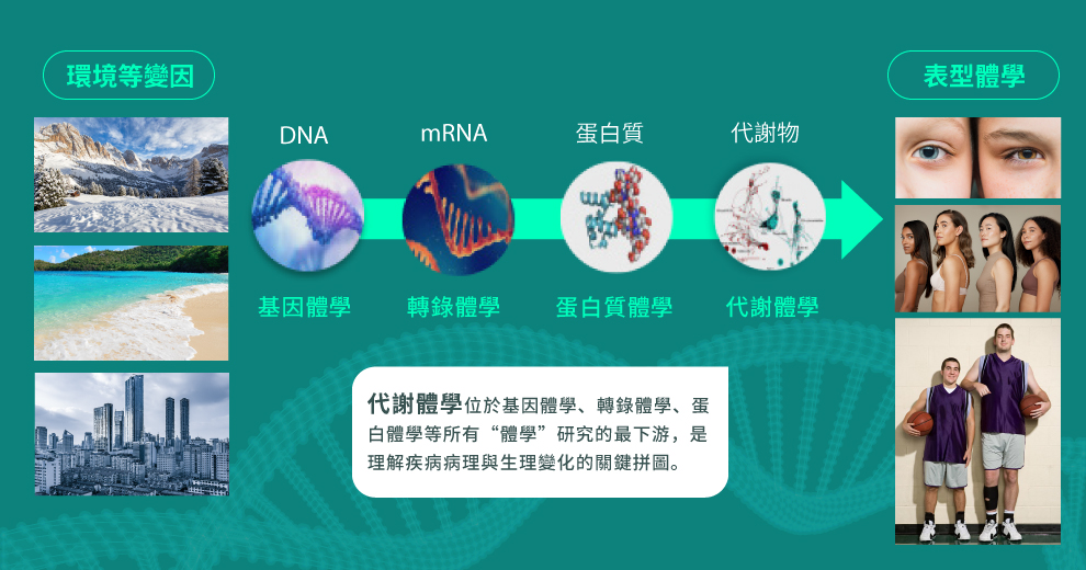 常見的體學研究